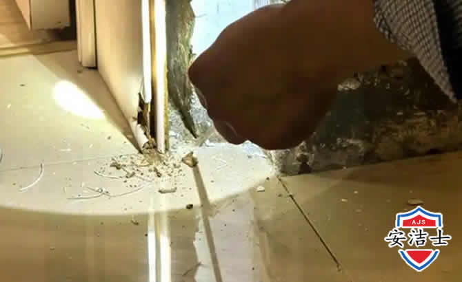 北仑区房屋建筑防治白蚁