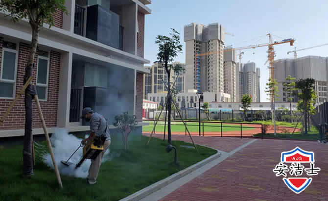 北仑区工厂工地除白蚁