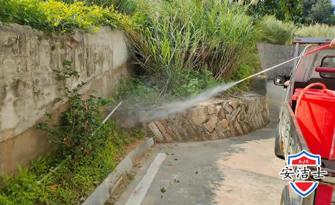 北仑区道路堤坝白蚁防治