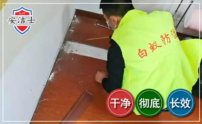 北仑区除四害现场