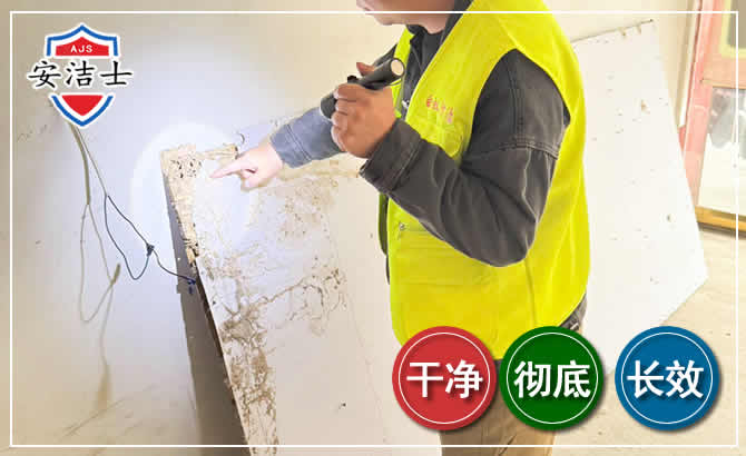 北仑区除白蚁现场