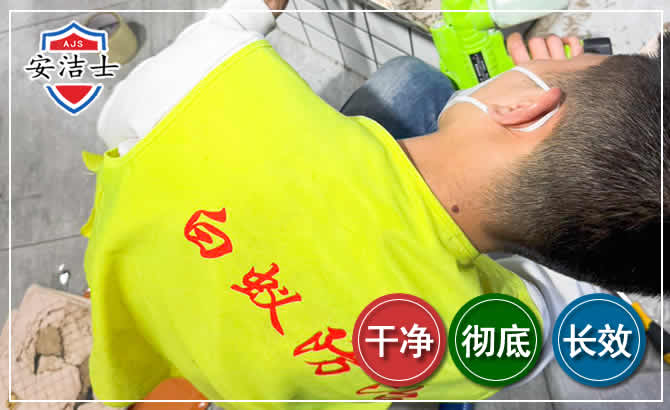 北仑区白蚁根治现场